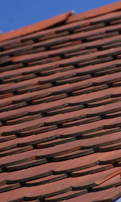 From Floor to Online: Why Sarasota Tile Installers Need to Embrace SEO Now