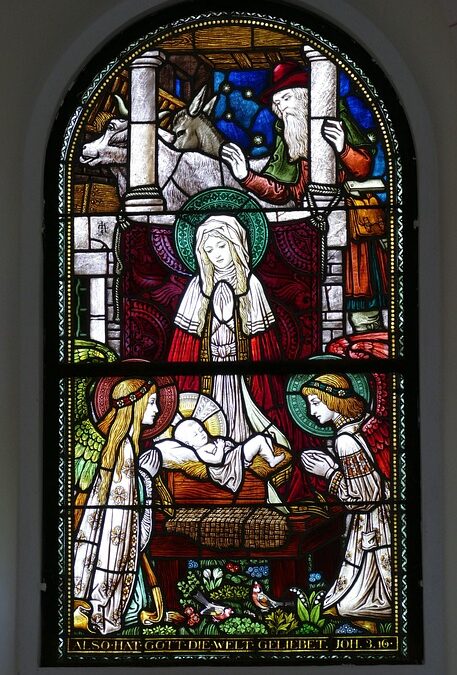 From Glass to Growth: Unlocking the Benefits of SEO for Bradenton's Window Replacement Companies