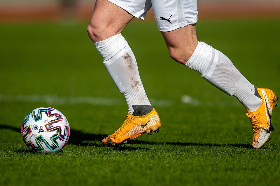 From Grass Roots to Growth: Unlocking New Customers with PPC Advertising in Sarasota