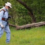 From Grassroots to Growth: Why Sarasota Lawn Care Companies Should Invest in PPC
