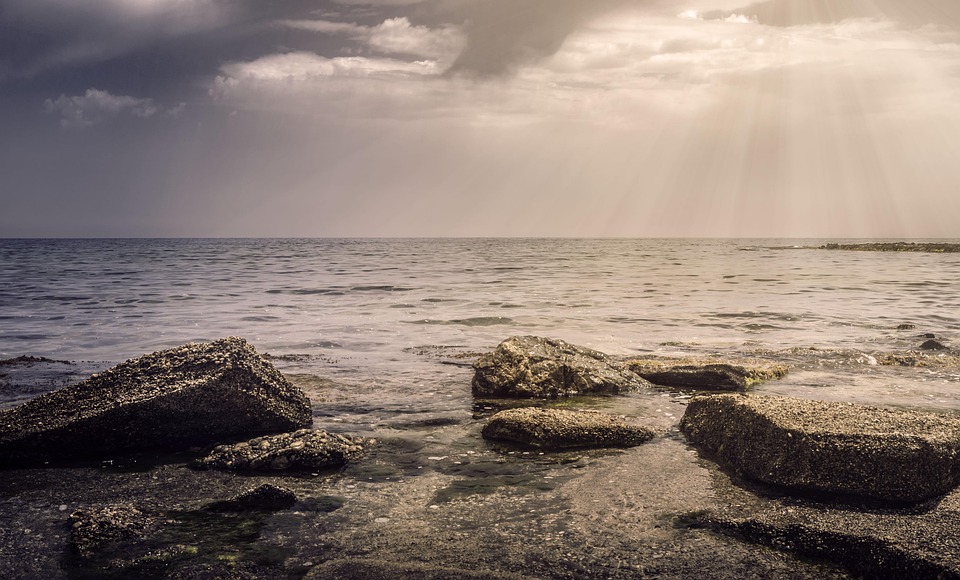 From Invisible to Invincible: The SEO Advantage for Bradenton's Small IT Companies