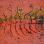 From Local Listings to Clicks: Why Bradenton Tile Installers Can't Ignore PPC