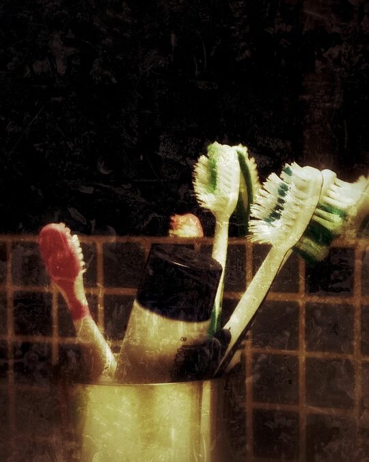 From Local Listings to Leads: How SEO Can Revolutionize Your Bradenton Bathroom Remodeling Company