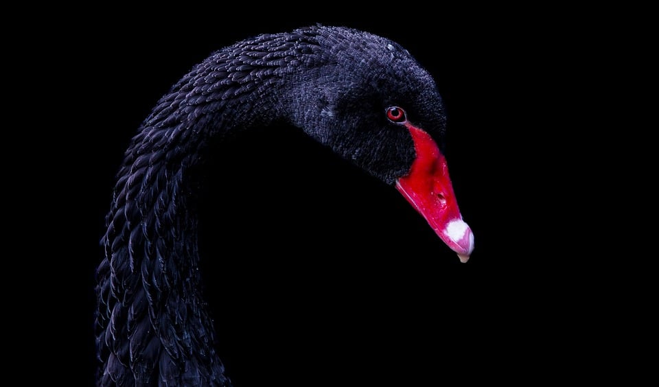 “From Local Search to Local Sales: The SEO Secrets Every Bradenton Siding Contractor Should Know”