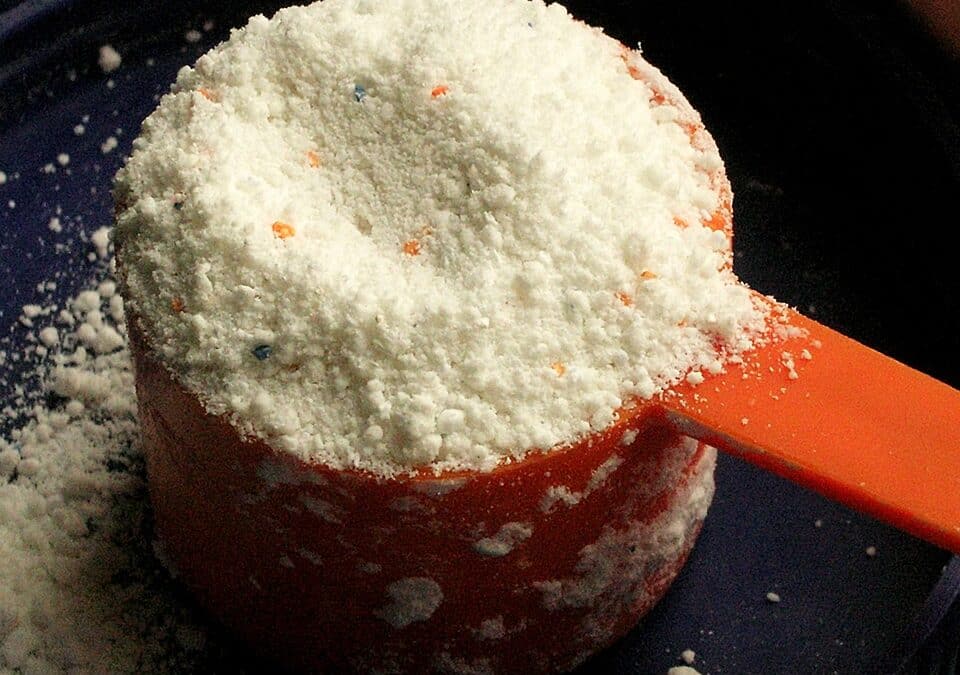 From Local to Leaders: How SEO Can Transform Your Bradenton Insurance Business