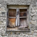 From Local to Legendary: Harnessing SEO to Transform Your Sarasota Window Replacement Company