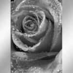 From Mourning to Marketing: Boost Your Funeral Home’s Visibility with Local PPC Strategies