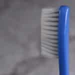 From Mowed to Noticed: The SEO Strategies Every Bradenton Lawn Care Company Should Know