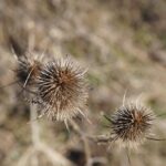 From Pampering to Profits: The SEO Benefits Every Sarasota Day Spa Owner Should Know