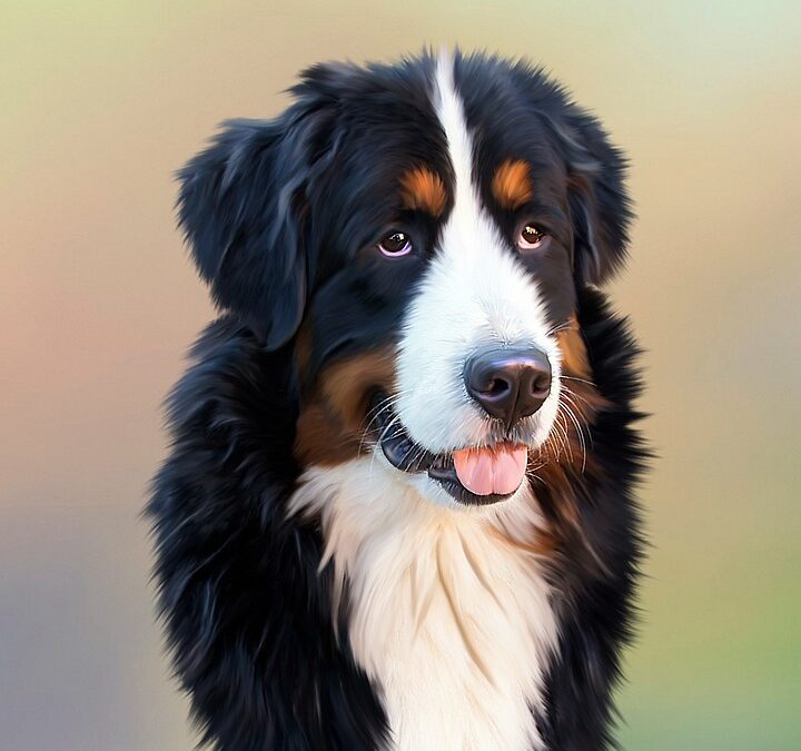 From Paws to Profit: How Effective SEO Drives More Dog Owners to Your Bradenton Walks