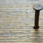 From Polish to Profit: Transforming Your Nail Salon with Targeted PPC Campaigns