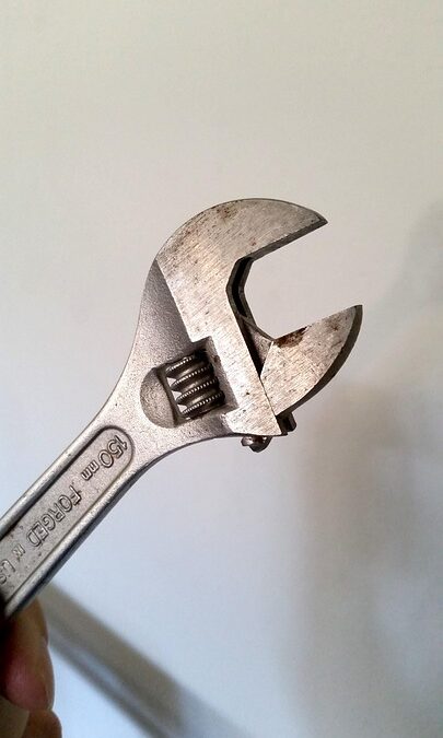 From Repairs to Revenue: How PPC Advertising Can Transform Your Appliance Repair Business in Bradenton
