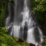 From Seed to Success: Unlocking the Power of SEO for Your Sarasota Tree Service Business