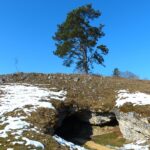 From Shovels to Clicks: Why Local Excavation Contractors in Sarasota Should Invest in PPC