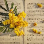 From Strumming to Ranking: The Surprising Benefits of SEO for Sarasota's Music Education Scene