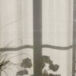 From Visibility to Credibility: The SEO Secrets Every Sarasota Home Inspector Should Know