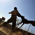 Get Fit with Your Marketing: How PPC Can Help Bradenton Trainers Scale Their Business