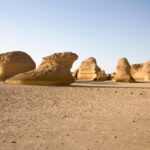 Grading Opportunities: Harnessing Local SEO to Stand Out in the Bradenton Land Grading Scene