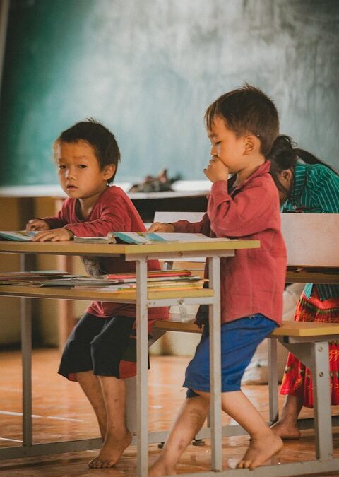 Grading the Competition: Why Sarasota’s Land Grading Firms Should Invest in PPC Now