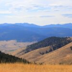 Grassroots Growth: How Targeted PPC Campaigns Can Transform Your Bradenton Land Grading Firm