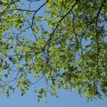 Hammering Home Growth: The Benefits of SEO for Small General Contractors in Bradenton