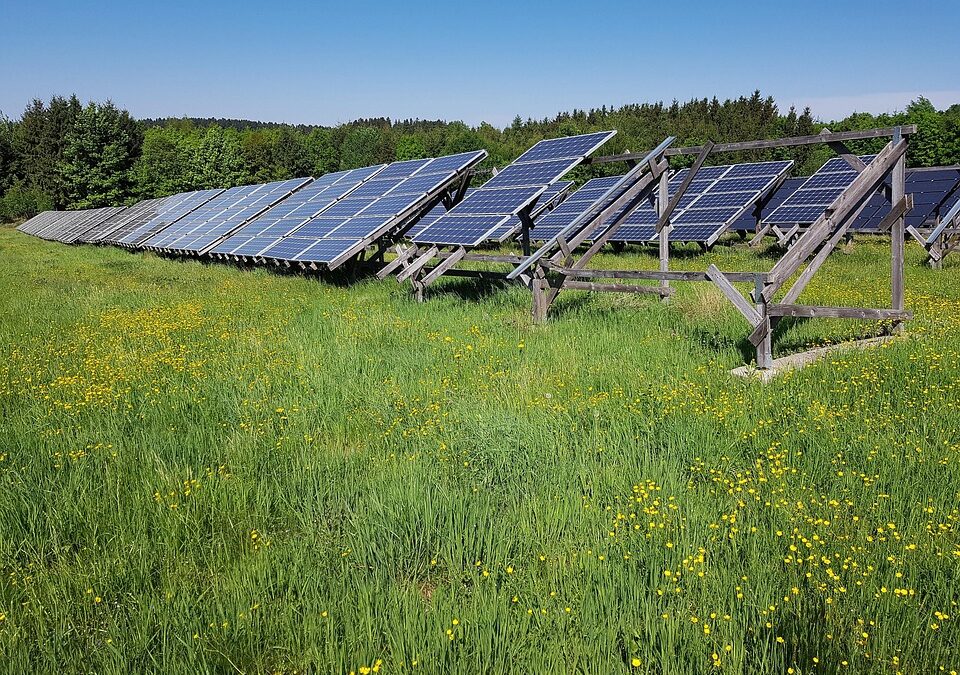 Harnessing the Sunshine: Boost Your Solar Sales with Strategic PPC Campaigns in Sarasota