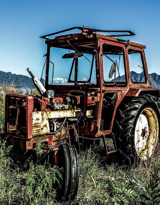 Haul in the Customers: 5 SEO Tips Every Sarasota Junk Removal Business Should Know