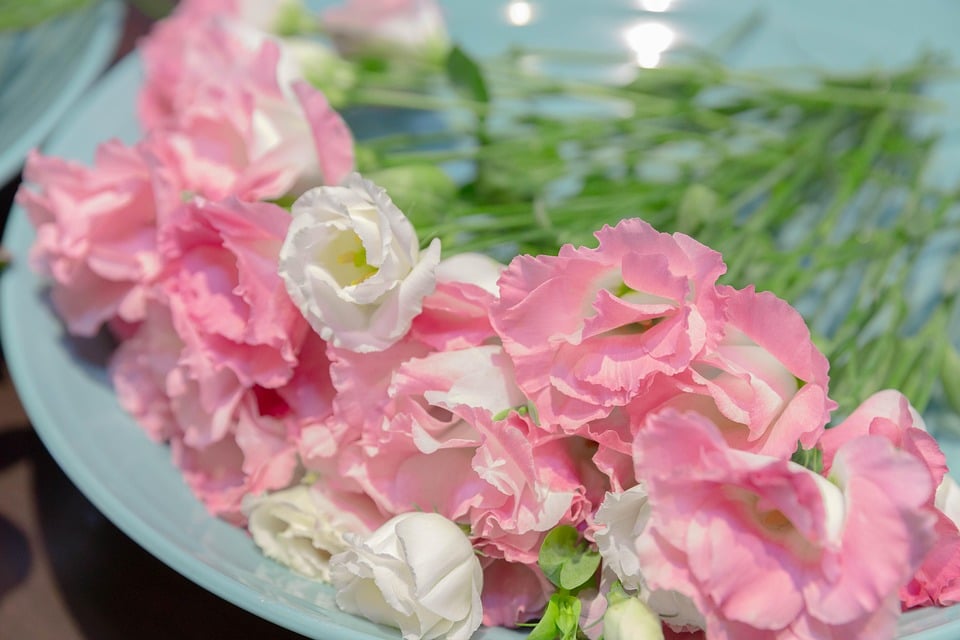 Honoring Lives and Boosting Visibility: How SEO Can Elevate Your Bradenton Funeral Home