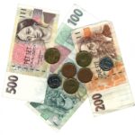 Investing in Visibility: The Transformative Power of PPC Advertising for Small Financial Firms in Bradenton