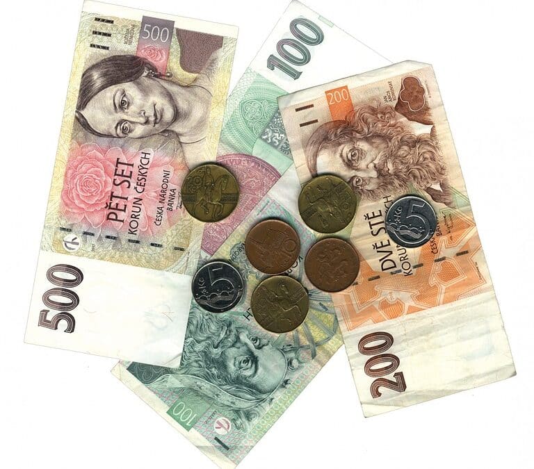 Investing in Visibility: The Transformative Power of PPC Advertising for Small Financial Firms in Bradenton