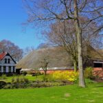 “Landscaping Success: Why Bradenton Small Businesses Can't Afford to Ignore SEO”