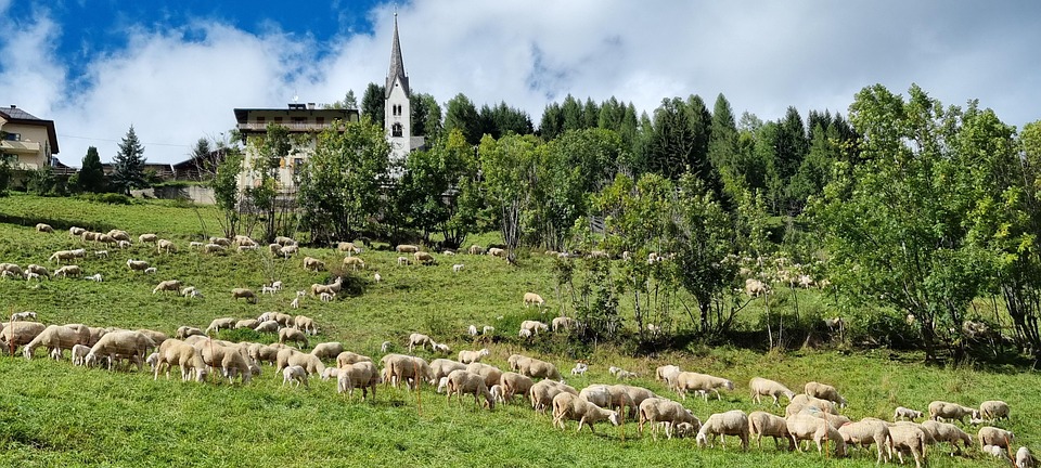 Lawn Care Legends: Transform Your Sarasota Business with the Power of Local SEO