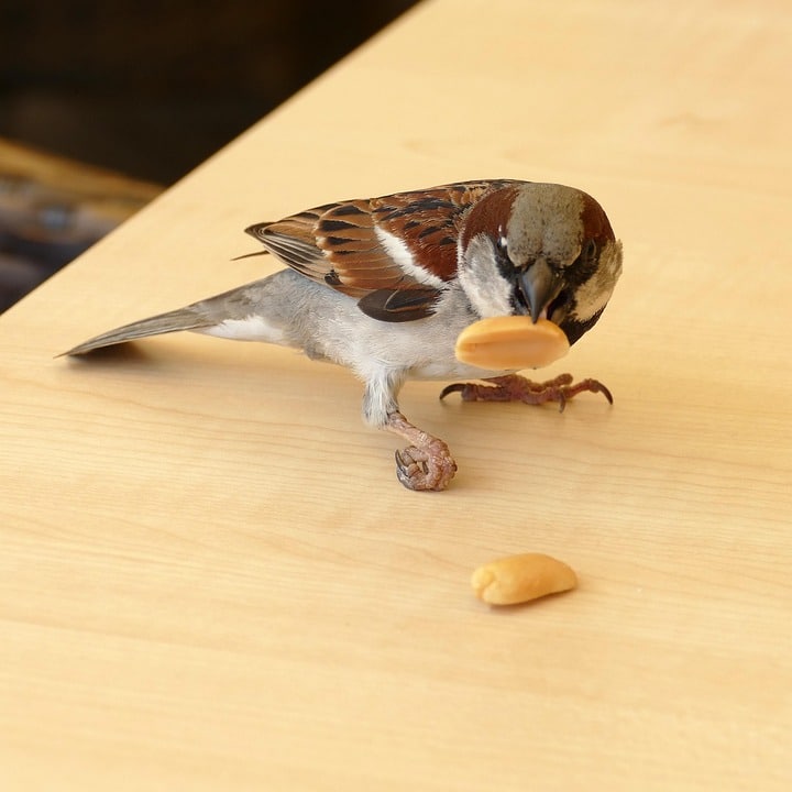 Learn how targeted PPC strategies can turn your therapy expertise into a thriving local business.