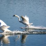 Level Up Your Land Grading Business: How PPC Can Help You Dig Up New Customers in Bradenton!