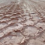 Level Up Your Visibility: The Power of PPC for Small Land Grading Businesses in Bradenton