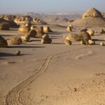 Leveling Up: The Hidden Benefits of SEO for Small Land Grading Businesses in Bradenton