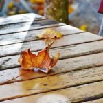 Local Flavor, Local Finds: How SEO Can Make Your Bradenton Catering Stand Out