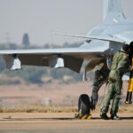 Local Love: How SEO Can Connect Your Bradenton Pet Boarding Business with Pet Parents