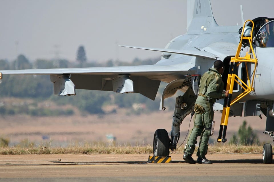 Local Love: How SEO Can Connect Your Bradenton Pet Boarding Business with Pet Parents