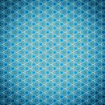 Local Love: Make Your Sarasota Carpet Cleaning Business Shine Online with Effective SEO Practices