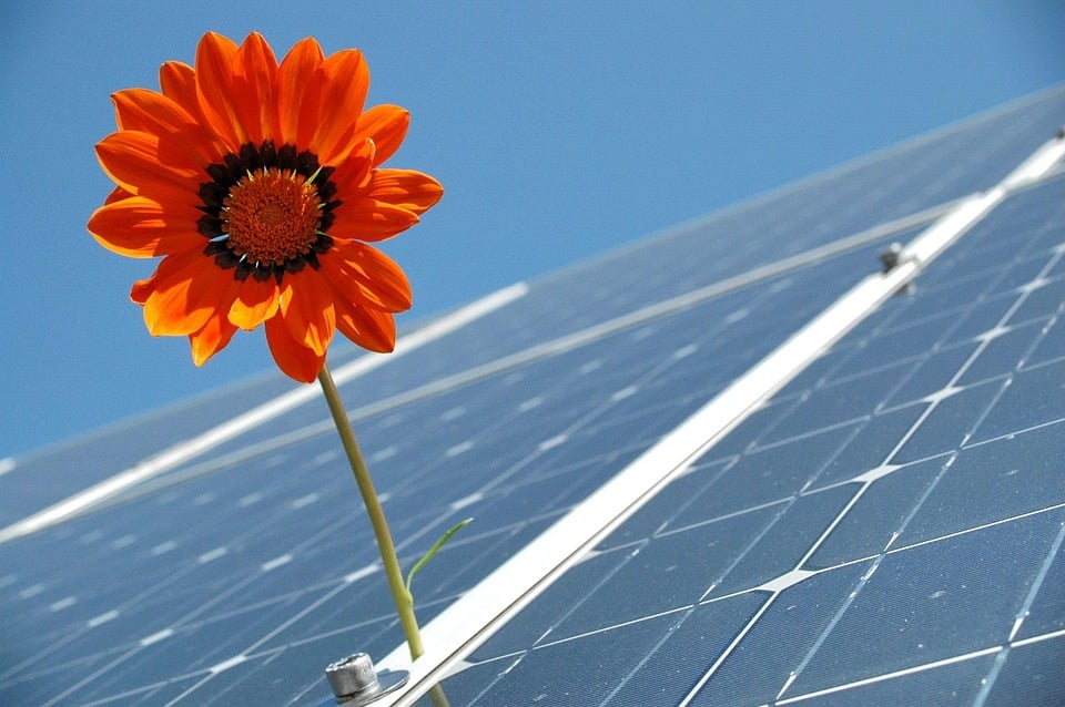 Local Sunshine, Local Searches: Why Sarasota Solar Panel Installers Need to Prioritize SEO Now