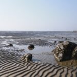 Local Visibility Matters: How PPC Campaigns Can Elevate Your Financial Advisory Practice in Bradenton