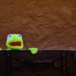 Local Visibility Matters: How SEO Can Help Your Bradenton Junk Removal Business Stand Out