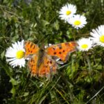 Make Waves in Sarasota: Boost Your Water Damage Restoration Business with Smart SEO Strategies