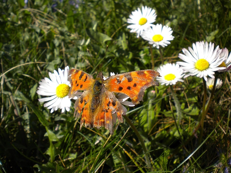 Make Waves in Sarasota: Boost Your Water Damage Restoration Business with Smart SEO Strategies