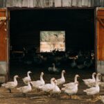 “Make a Splash: How Local SEO Can Transform Your Sarasota Car Wash Business”