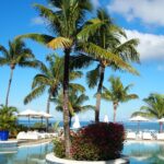 Make a Splash: How PPC Advertising Can Turn Your Sarasota Pool Repair Business into a Local Sensation!