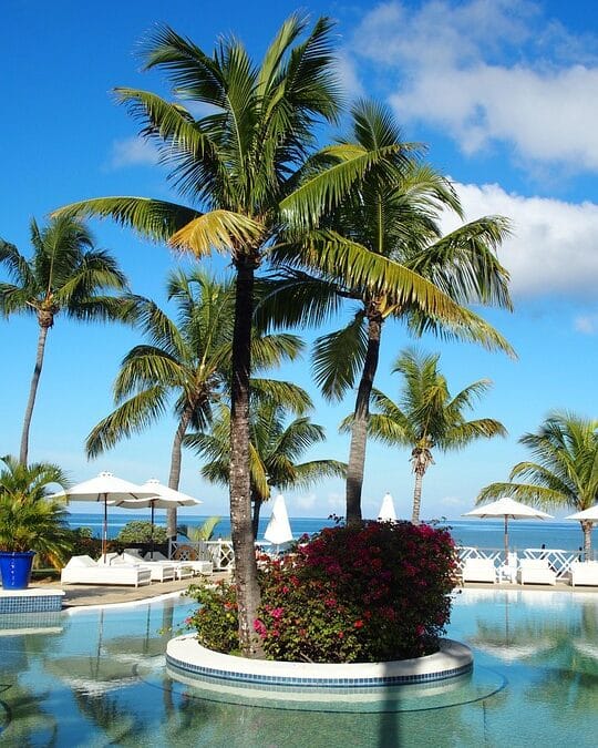 Make a Splash: How PPC Advertising Can Turn Your Sarasota Pool Repair Business into a Local Sensation!