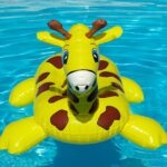 Make a Splash: How SEO Can Transform Your Sarasota Pool Repair Business and Attract More Clients!