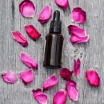 Massage Therapy in Sarasota: How Effective SEO Can Bring Clients to Your Door